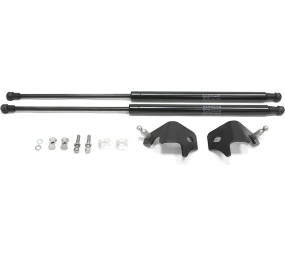 Газовые упоры Rival для капота Nissan Tiida II 2015-2016, 2 шт., A.ST.4114.1