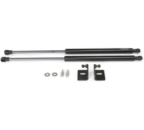 Газовые упоры Rival для капота Nissan Sentra B17 2014-2017, 2 шт., A.ST.4110.1