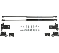 Газовые упоры Rival капота для Chevrolet Malibu IX 2015-2018, 2 шт., A.ST.1005.1
