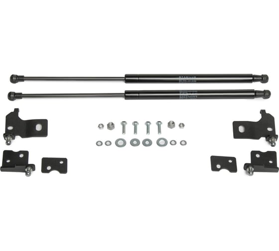 Газовые упоры Rival капота для Chevrolet Malibu IX 2015-2018, 2 шт., A.ST.1005.1 1