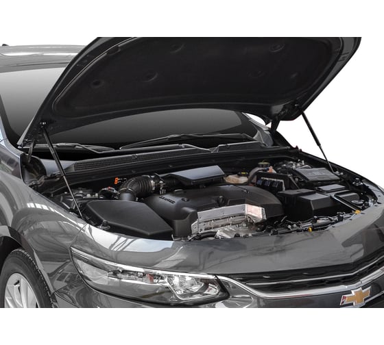 Газовые упоры Rival капота для Chevrolet Malibu IX 2015-2018, 2 шт., A.ST.1005.1