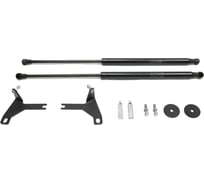 Газовые упоры Rival для капота Ford Focus II 2005-2008, 2 шт., A.ST.1802.1