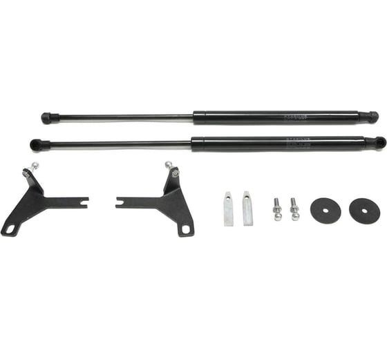 Газовые упоры Rival для капота Ford Focus II 2005-2008, 2 шт., A.ST.1802.1 1