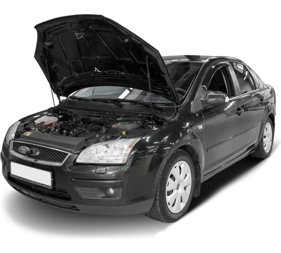 Газовые упоры Rival для капота Ford Focus II 2005-2008, 2 шт., A.ST.1802.1