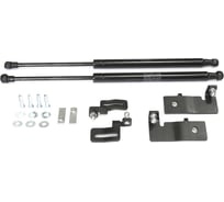 Газовые упоры Rival капота для Chevrolet Cruze I 2009-2015, 2 шт., A.ST.1001.1