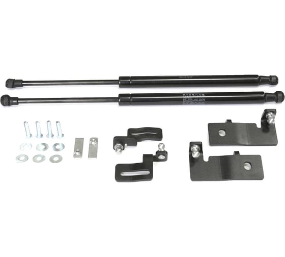 Газовые упоры Rival капота для Chevrolet Cruze I 2009-2015, 2 шт., A.ST.1001.1