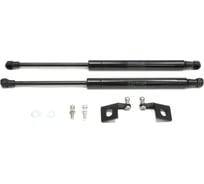 Газовые упоры Rival для капота Hyundai ix35 2010-2015, 2 шт., A.ST.2303.1