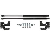 Газовые упоры Rival для капота Toyota Corolla E140, E150 2006-2013, 2 шт., A.ST.5715.1