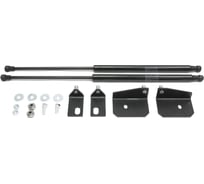 Газовые упоры Rival для капота Mitsubishi ASX 2010-2019, 2 шт., A.ST.4001.1