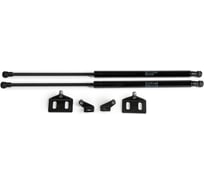 Газовые упоры Rival для капота Nissan Qashqai I 2006-2014, 2 шт., A.ST.4101.1