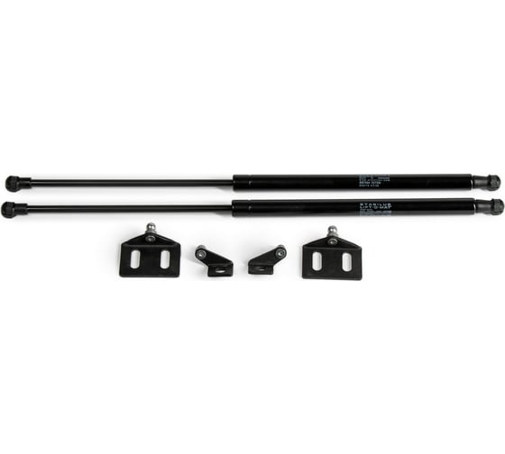 Газовые упоры Rival для капота Nissan Qashqai I 2006-2014, 2 шт., A.ST.4101.1 1
