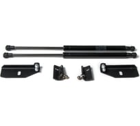 Газовые упоры Rival капота для Datsun mi-DO 2015-н.в./on-DO 2014-н.в., 2 шт., A.ST.8701.1