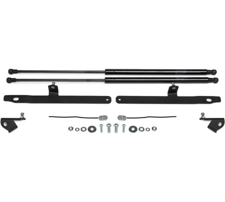 Газовые упоры Rival для капота Toyota RAV 4 XA50 2019-н.в., 2 шт., A.ST.5714.1