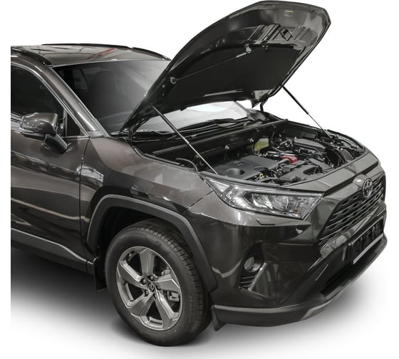 Газовые упоры Rival для капота Toyota RAV 4 XA50 2019-н.в., 2 шт., A.ST.5714.1