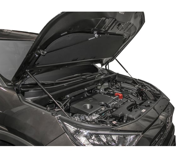 Газовые упоры Rival для капота Toyota RAV 4 XA50 2019-н.в., 2 шт., A.ST.5714.1