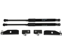 Газовые упоры Rival для капота Lada Granta 2011-2018/Kalina II 2013-2018, 2 шт., A.ST.6002.1