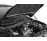Газовые упоры Rival для капота Lada Granta 2011-2018/Kalina II 2013-2018, 2 шт., A.ST.6002.1 3