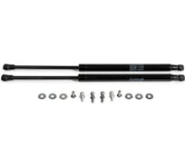 Газовые упоры капота Rival для Lada Largus 2012-2021/Largus Cross 2014-2021/Renault Logan I 2004-2015, 2 шт., A.ST.4701.1