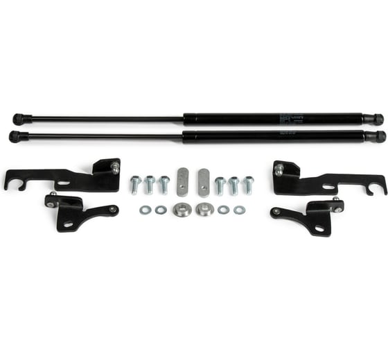 Газовые упоры Rival для капота Isuzu D-Max II 2012-2017 2017-н.в., 2 шт., A.ST.9101.1