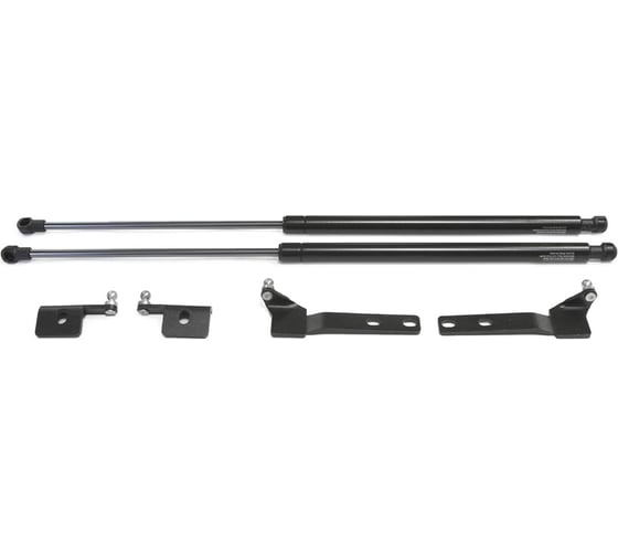 Газовые упоры Rival для капота Nissan NP300 2008-2015, 2 шт., A.ST.4108.1 1