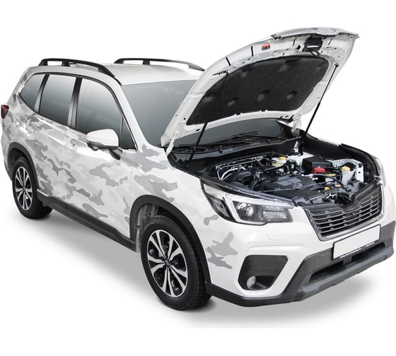 Газовые упоры Rival для капота Subaru Forester V 2018-н.в., 2 шт., A.ST.5403.1