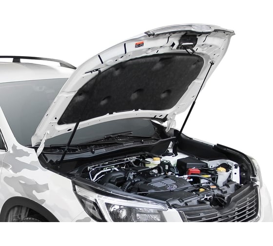 Газовые упоры Rival для капота Subaru Forester V 2018-н.в., 2 шт., A.ST.5403.1