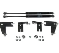 Газовые упоры Rival для капота Ford Kuga II 2013-2017, 2 шт., A.ST.1803.1