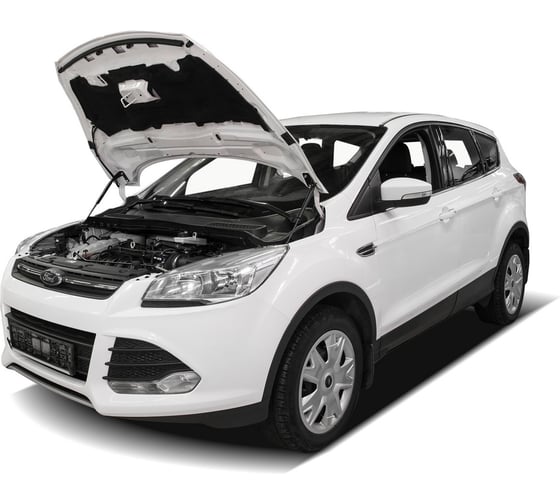 Газовые упоры Rival для капота Ford Kuga II 2013-2017, 2 шт., A.ST.1803.1