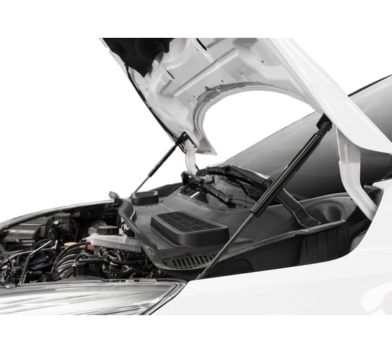 Газовые упоры Rival для капота Ford Kuga II 2013-2017, 2 шт., A.ST.1803.1