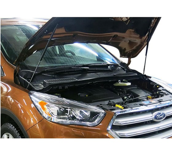 Газовые упоры Rival для капота Ford Kuga II рестайлинг 2016-н.в., 2 шт., A.ST.1806.1