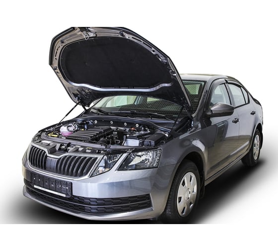 Газовые упоры Rival для капота Skoda Octavia A7 2013-2019, 2 шт., A.ST.5105.1