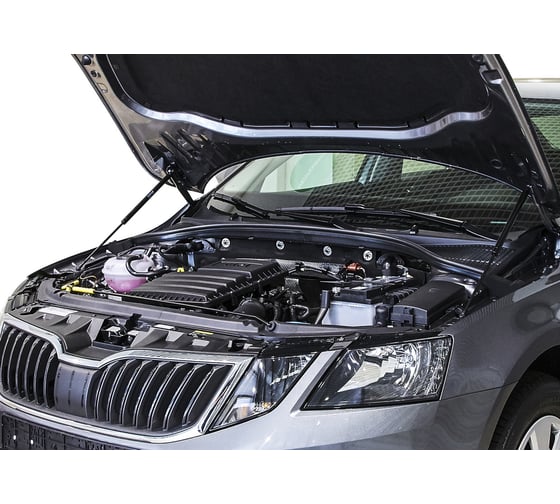 Газовые упоры Rival для капота Skoda Octavia A7 2013-2019, 2 шт., A.ST.5105.1