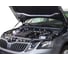 Газовые упоры Rival для капота Skoda Octavia A7 2013-2019, 2 шт., A.ST.5105.1 3