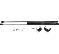 Газовые упоры Rival для капота Mercedes-Benz CLA-klasse C117, X117 2013-2019, 2 шт., A.ST.3902.1