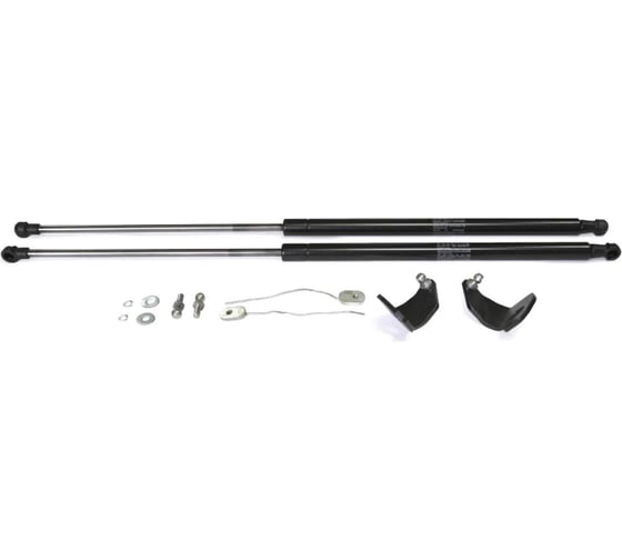 Газовые упоры Rival для капота Mercedes-Benz CLA-klasse C117, X117 2013-2019, 2 шт., A.ST.3902.1