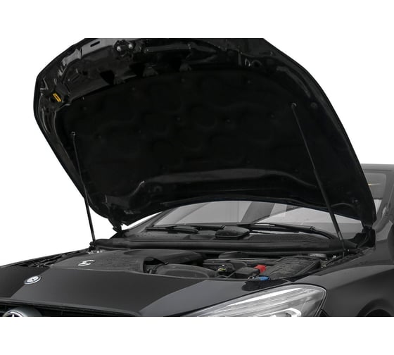 Газовые упоры Rival для капота Mercedes-Benz CLA-klasse C117, X117 2013-2019, 2 шт., A.ST.3902.1