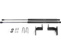 Газовые упоры Rival для капота Nissan X-Trail T32 2015-2018 2018-н.в., 2 шт., A.ST.4113.1