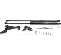 Газовые упоры Rival для капота Hyundai Elantra V MD рестайлинг 2013-2016, 2 шт., A.ST.2305.1