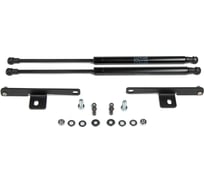 Газовые упоры Rival для капота Mitsubishi L200 V 2015-2019/Pajero Sport III 2016-н.в. A.ST.4007.1