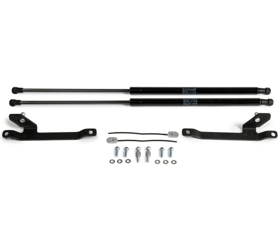 Газовые упоры Rival капота для Changan CS35 2013-2020, 2 шт., A.ST.8901.1