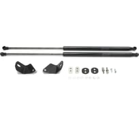Газовые упоры Rival для капота Mercedes-Benz A-klasse W176 2012-2018/GLA-klasse X156 A.ST.3901.1