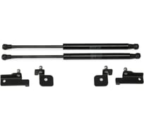 Газовые упоры Rival для капота Lada Kalina I 2004-2013, 2 шт., A.ST.6014.1