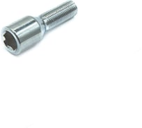 Болт колесный GANZ 12x1.25x30 ВНШГ упак. 20 шт BB105