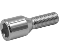 Болт колесный GANZ 12x1.50x30 ВНШГ упак. 20 шт BB109