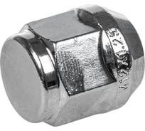 Гайка колесная GANZ 12x1.25x25 С19 конус закрытая упак. 20 шт BG500