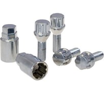 Комплект секретных болтов M12x1.5, H=28 мм, Хром NORM 375110H2