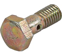 Болт-штуцер Крал М6x1.0x17 МАЗ, крепления трубки дренажной (100 шт) 2066