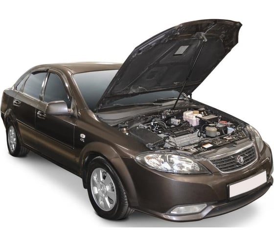 Амортизатор капота для Chevrolet Lacetti 2004-2013 гг/Ravon Gentra 2015-2018 АвтоУпор URAGEN011