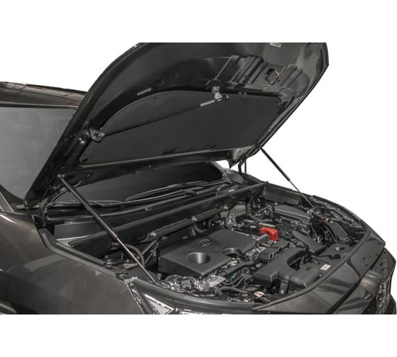 Амортизаторы капота 2 шт для Toyota RAV4 V XA50 с 2019 года АвтоУпор UTORAV031