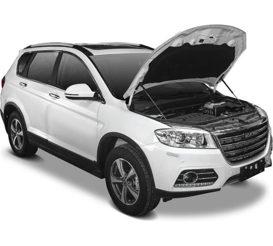 Амортизаторы капота 2 шт для Haval H6 I 2014-2020 гг АвтоУпор UHAH6011